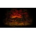 Yomawari The Long Night Collection (Switch), ,